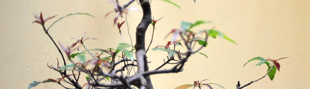 Cuan gede dari slot yang lagi nge trend